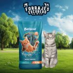 BerisCat 15 kg