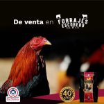 Gallo Nogal Premium 22.7 kg