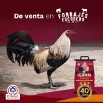 Gallo triunfo 25 kg