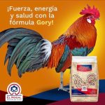 Gory 25 kg