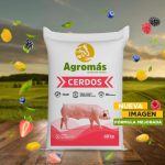 Inicio Cerdo 25 kg