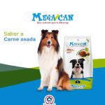Megacan 25 kg
