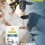 Ovimas 12% 25 kg