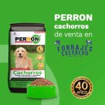 Perron Cachorro 20 kg